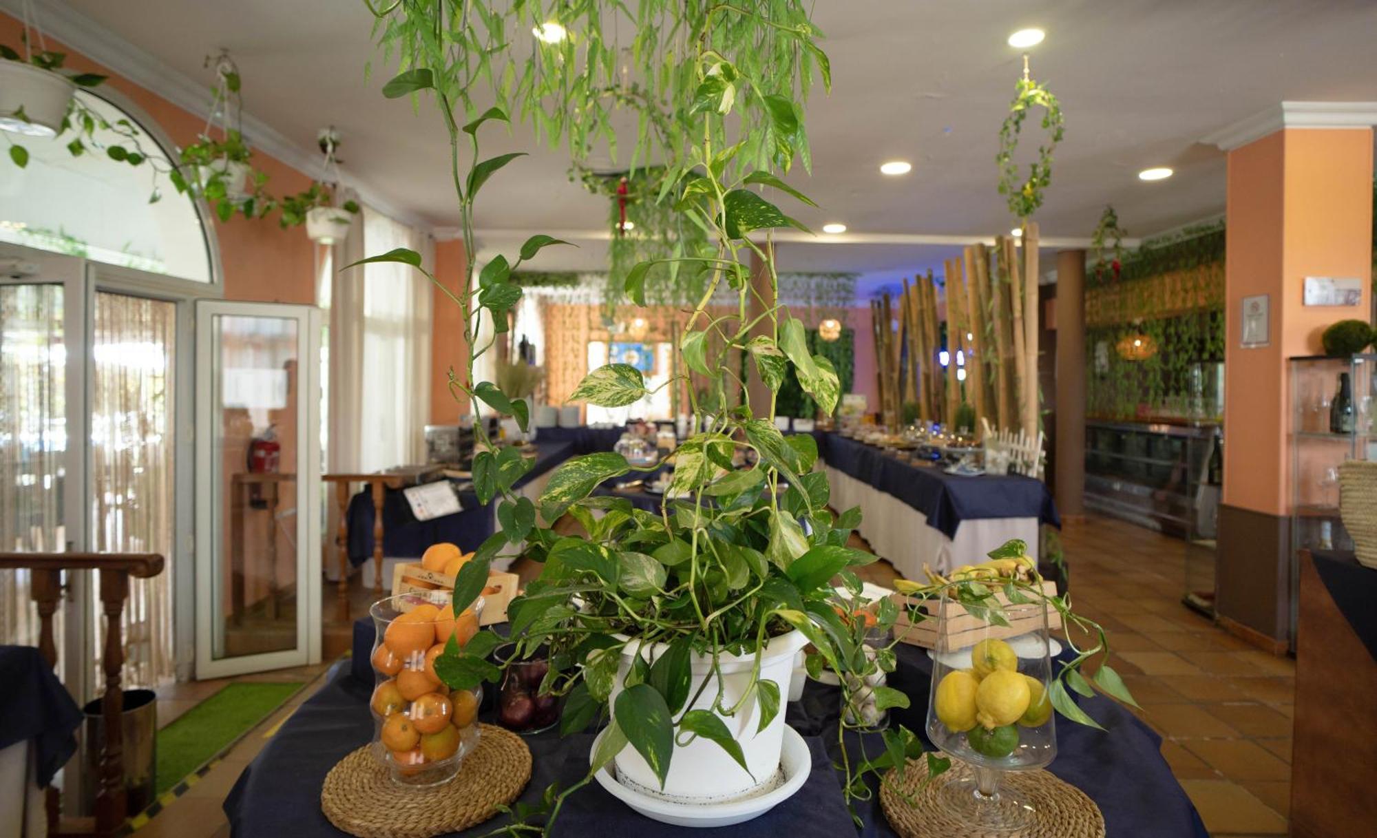 Hotel Albaida Nature Mazagón Dış mekan fotoğraf